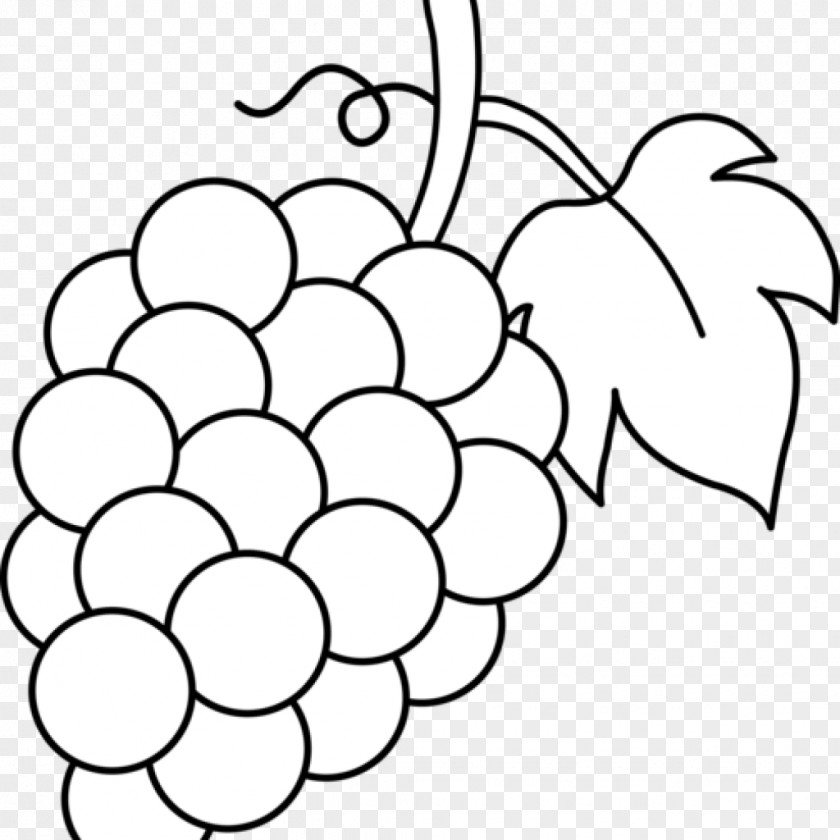 Grape Common Vine Coloring Book Leaves Fruit PNG