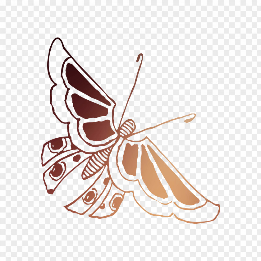 Monarch Butterfly Brush-footed Butterflies Moth Insect Illustration PNG