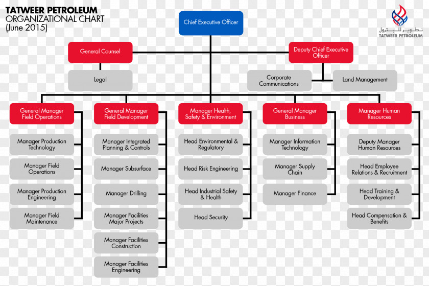 Organization Chart Organizational Structure Supply Chain PNG
