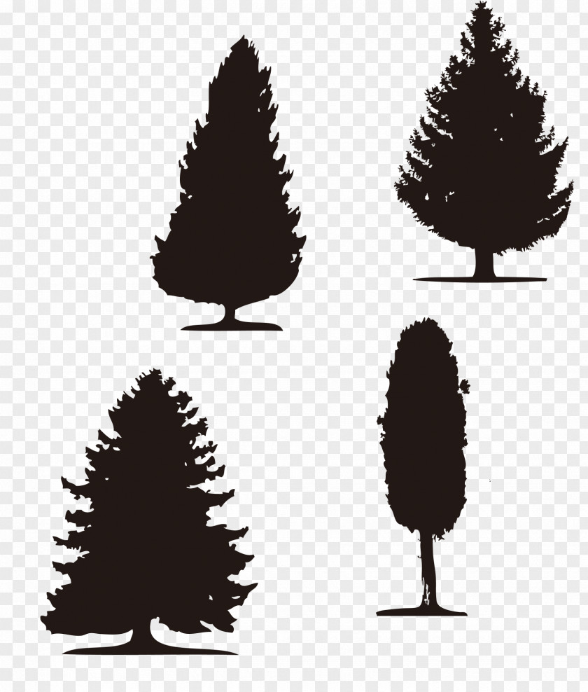 Tree Silhouette Computer File PNG