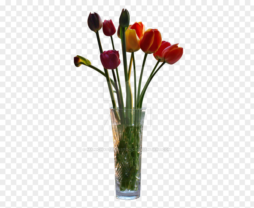 Tulip Vase PNG