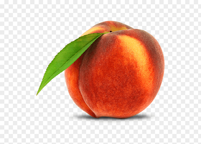 Apple Fruit Princess Peach Nectarine PNG