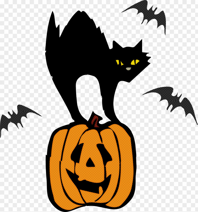 Bat Small To Mediumsized Cats Pumpkin PNG