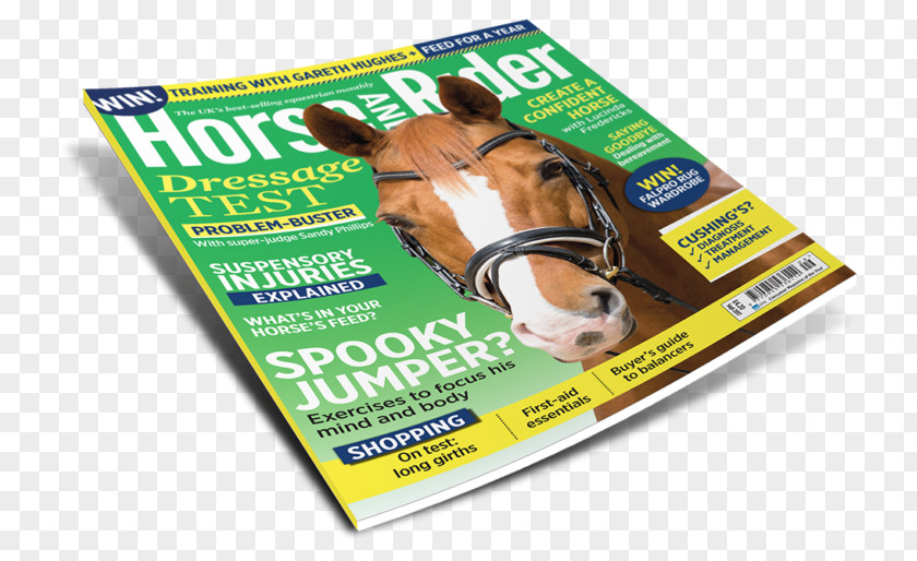 Best Seller Magazine Horse&Rider Equestrian Snout PNG