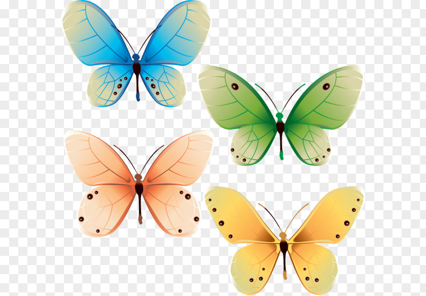 Butterfly Vector Graphics Graphic Design PNG