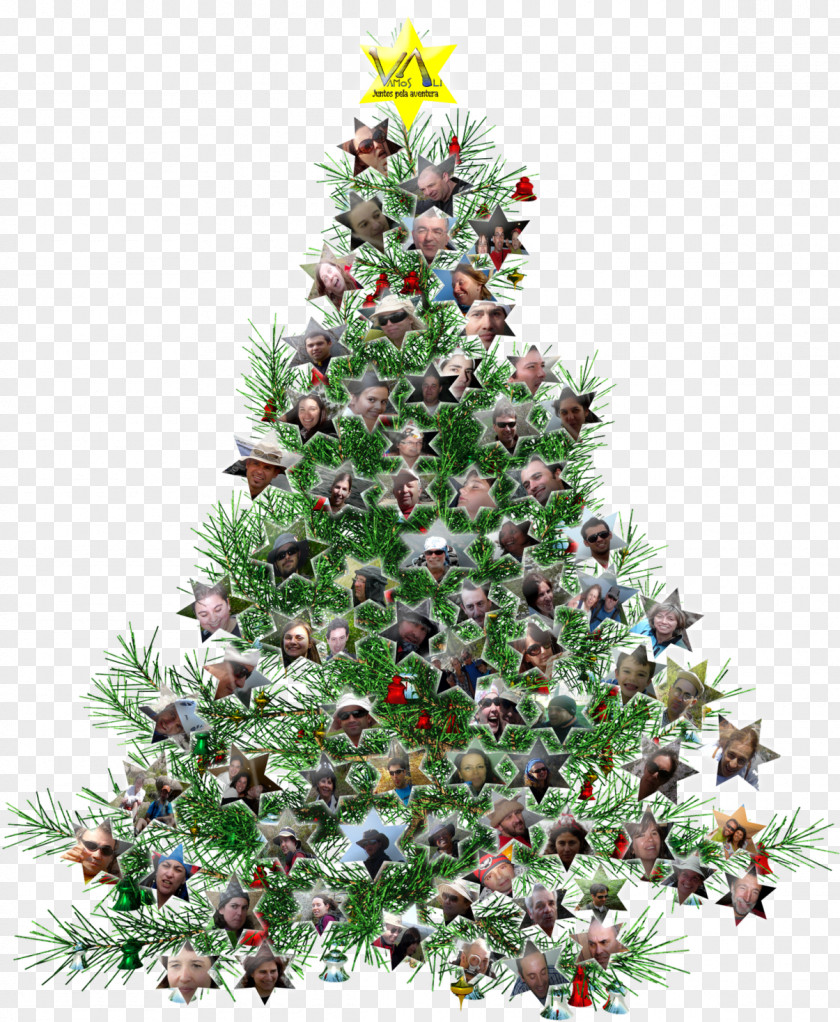 Christmas Tree Ornament Fir Clip Art PNG