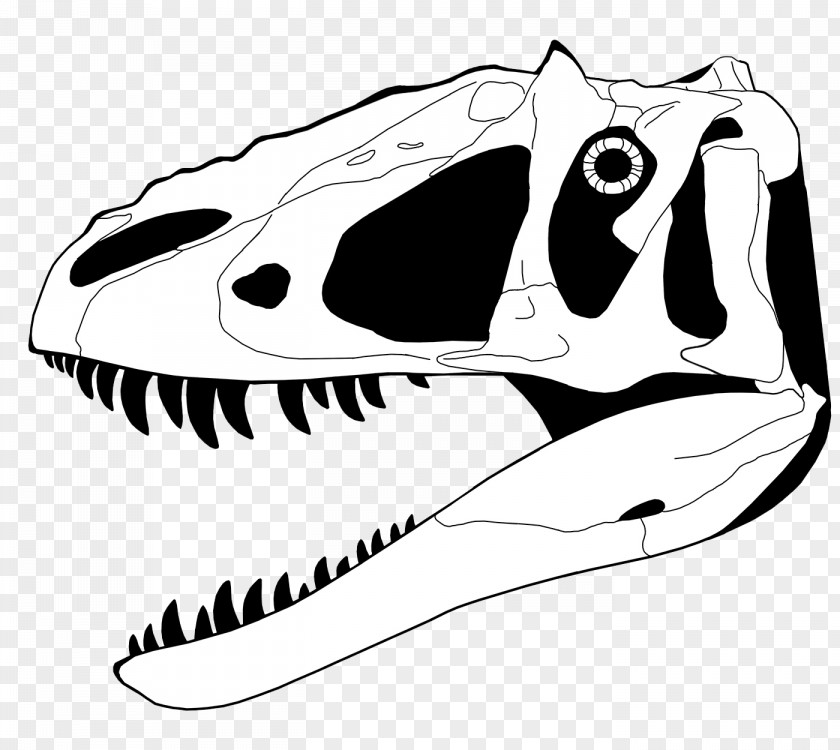Dinosaur Skeleton Cliparts Tyrannosaurus Velociraptor Chasmosaurus Mosasaurus Giganotosaurus PNG