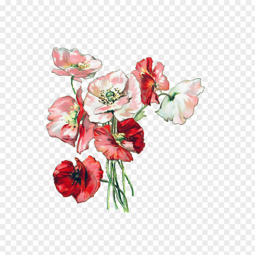 Flower Floral Illustrations Clip Art Design PNG