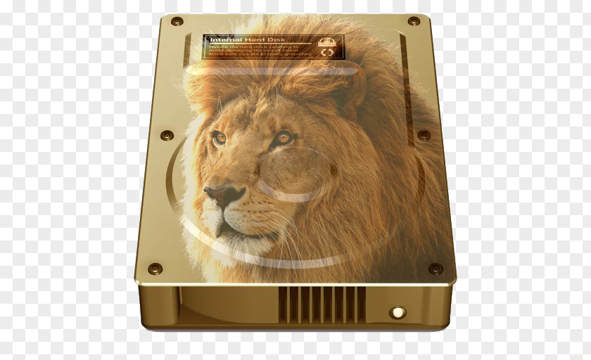 Lion Gold East African Desktop Wallpaper PNG