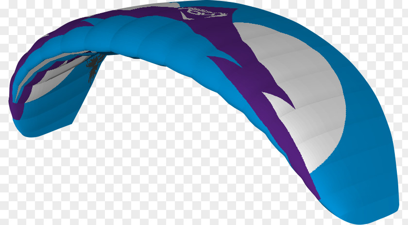 Power Kite Kitesurfing Foil Snowkiting PNG