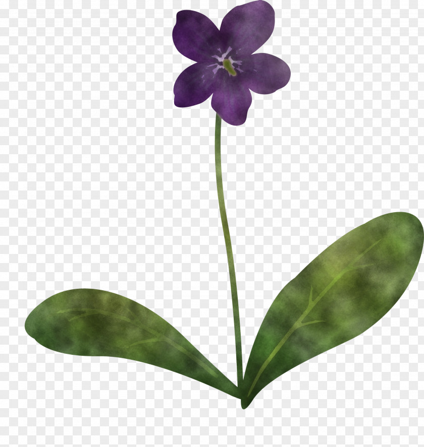 Violet Flower PNG