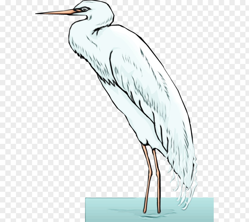 Great Heron Pelecaniformes Bird Beak Crane-like Little Blue Crane PNG