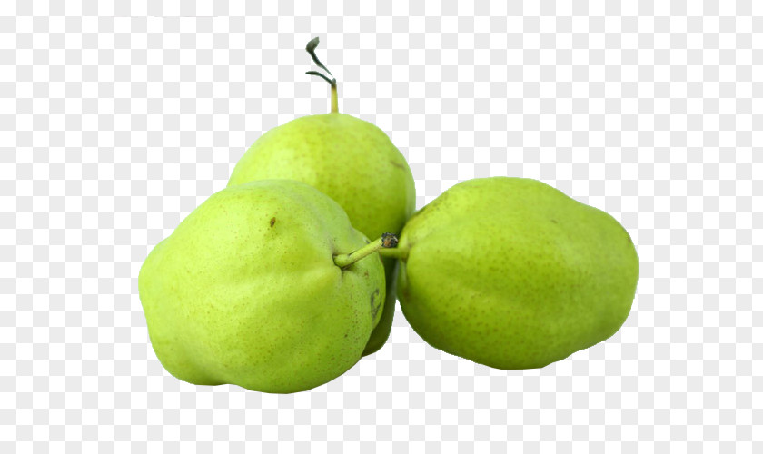 Green Pear Asian Pyrus Nivalis European Fruit PNG