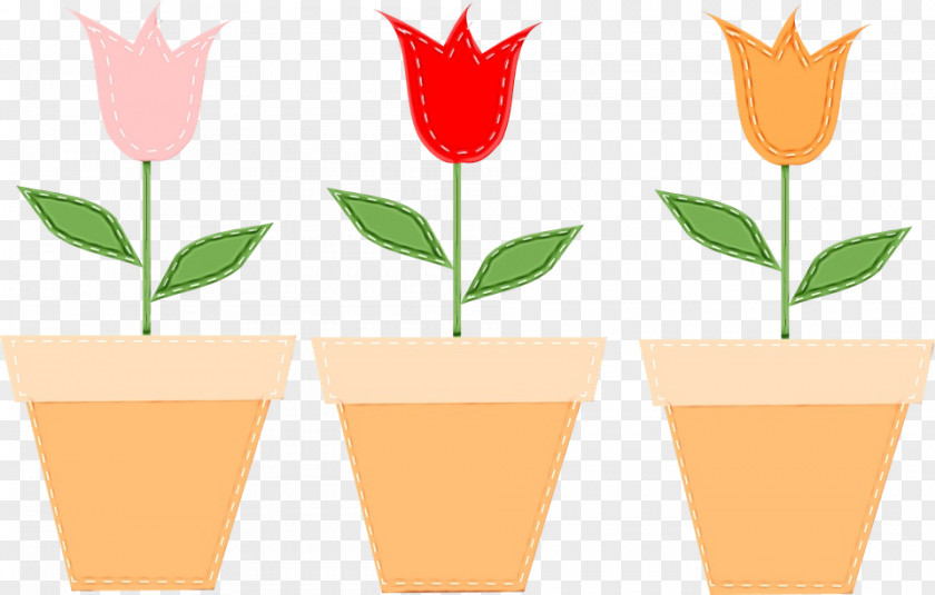 Lily Family Plant Stem Background Day PNG