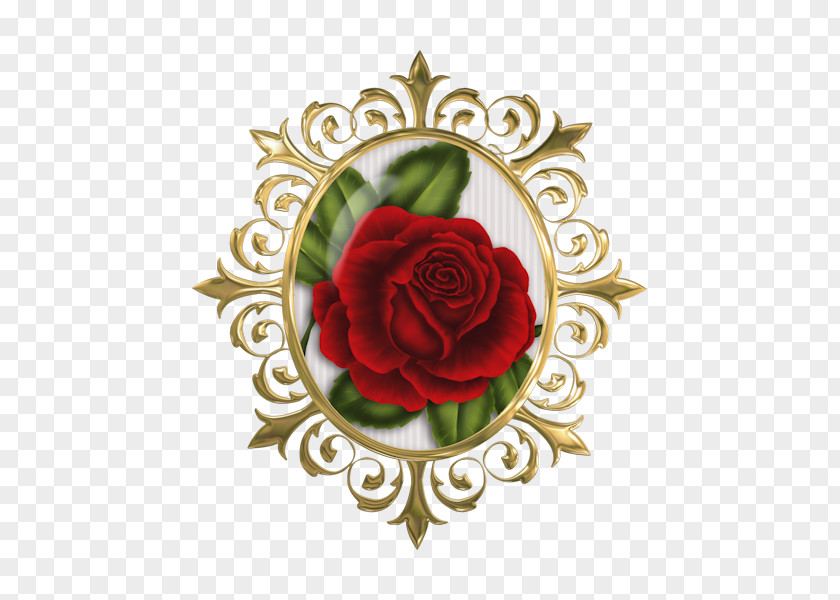 Wine Garden Roses Anniversary Red Rosé PNG