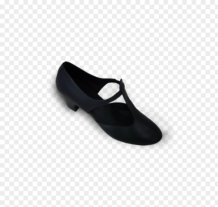 Ballet Shoe Sneakers Footwear PNG