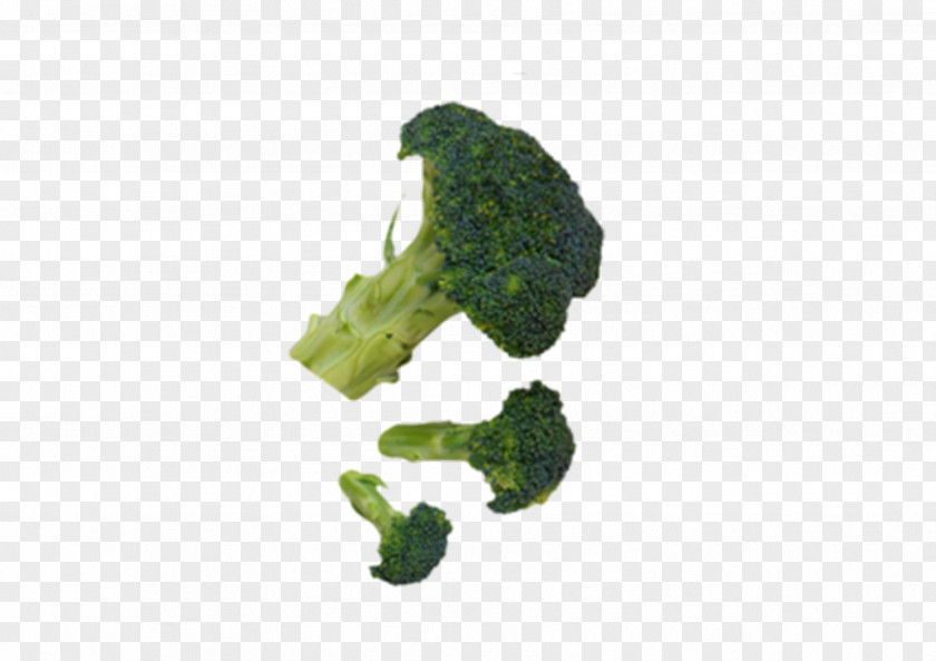 Green Broccoli Vegetable Download PNG