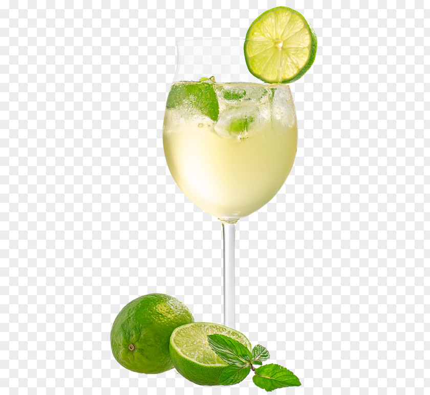 HUGO Cocktail Spritz Prosecco Apéritif Mojito PNG