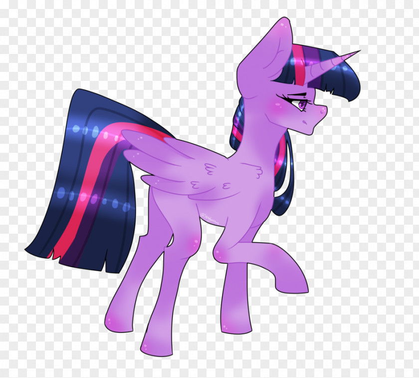 Princess Twilight Sparkle Pink M PNG