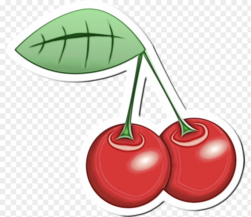 Tree Plant Cherry Red Green Leaf Fruit PNG