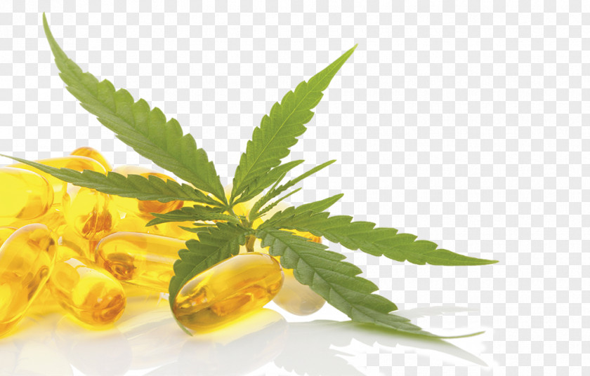 Cannabis Hemp Cannabidiol Legality Of By U.S. Jurisdiction Medicine PNG