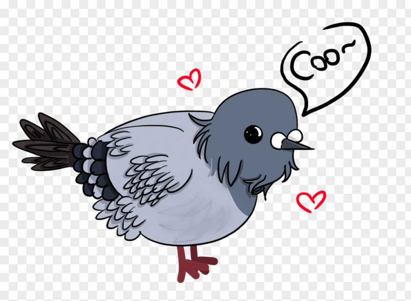 Chicken Bird English Carrier Pigeon Homing Rooster PNG