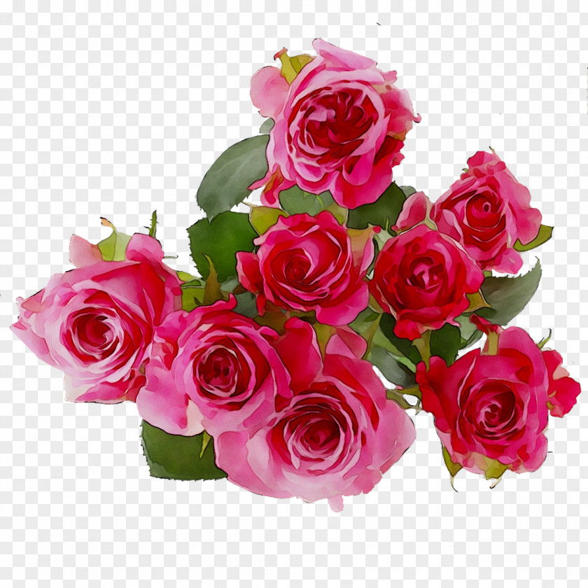 Garden Roses Samsung HS330 Floral Design Flower Bouquet Cut Flowers PNG