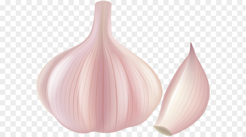 Garlic Clip Art PNG