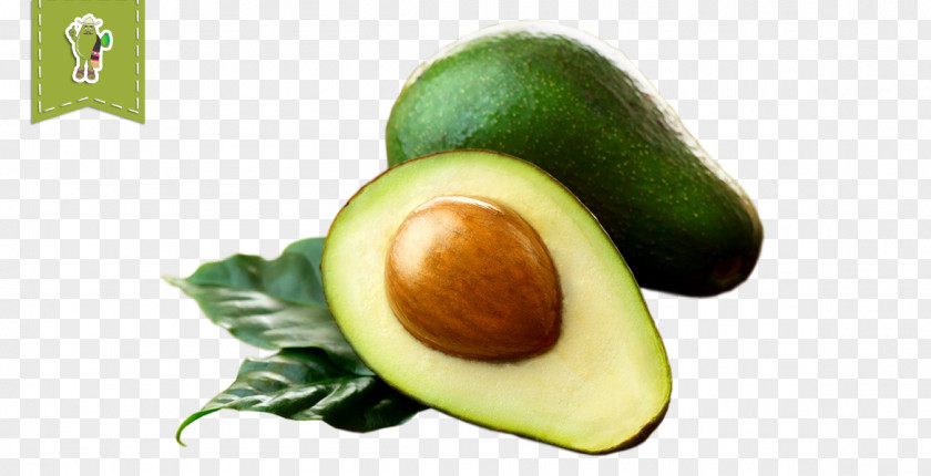 Mango Pulp Hass Avocado Oil Olive Seed PNG
