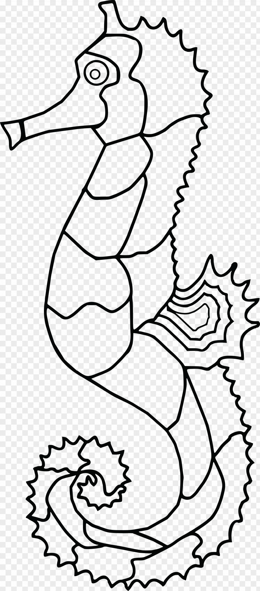 Seahorse Line Art Drawing Coloring Book Animal PNG
