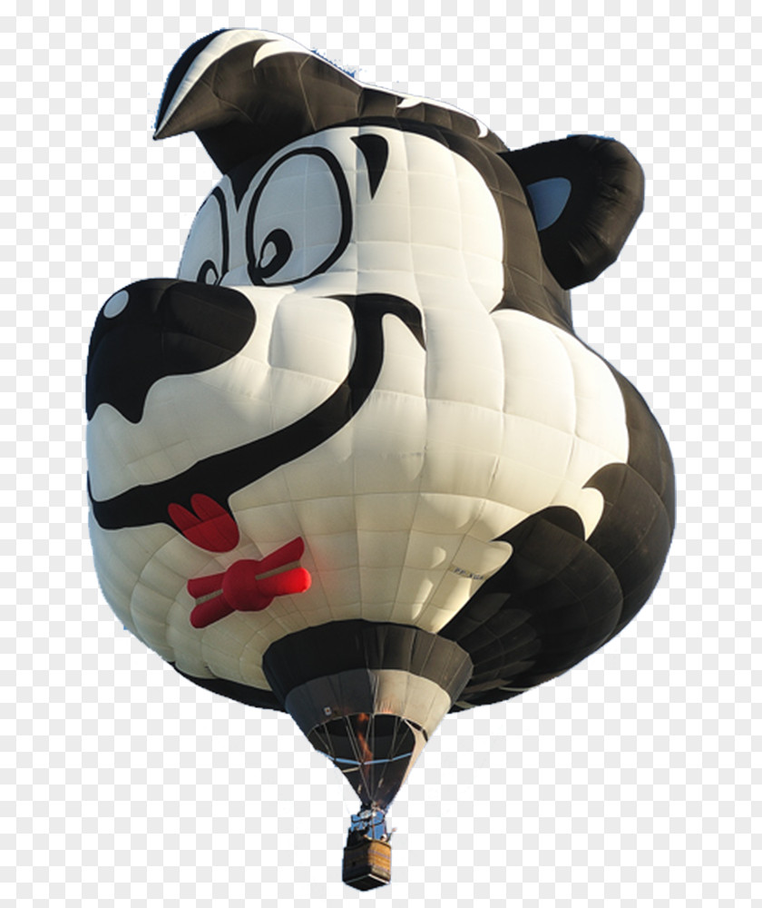 Balloon Hot Air Image Flight PNG