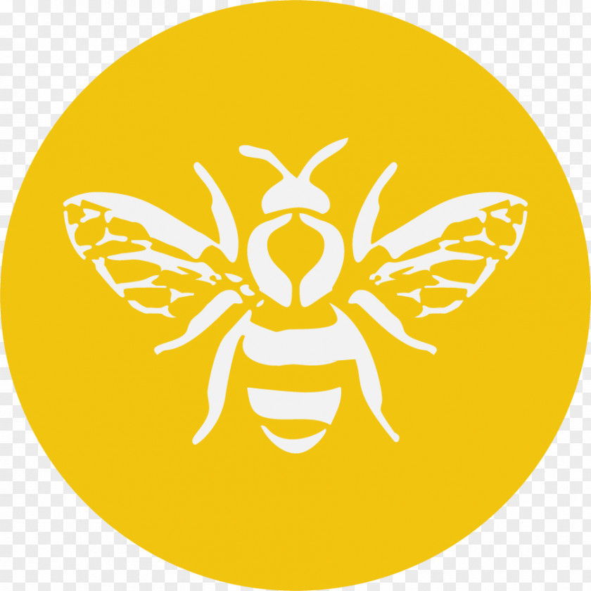 Bees Bee Graphic Design PNG