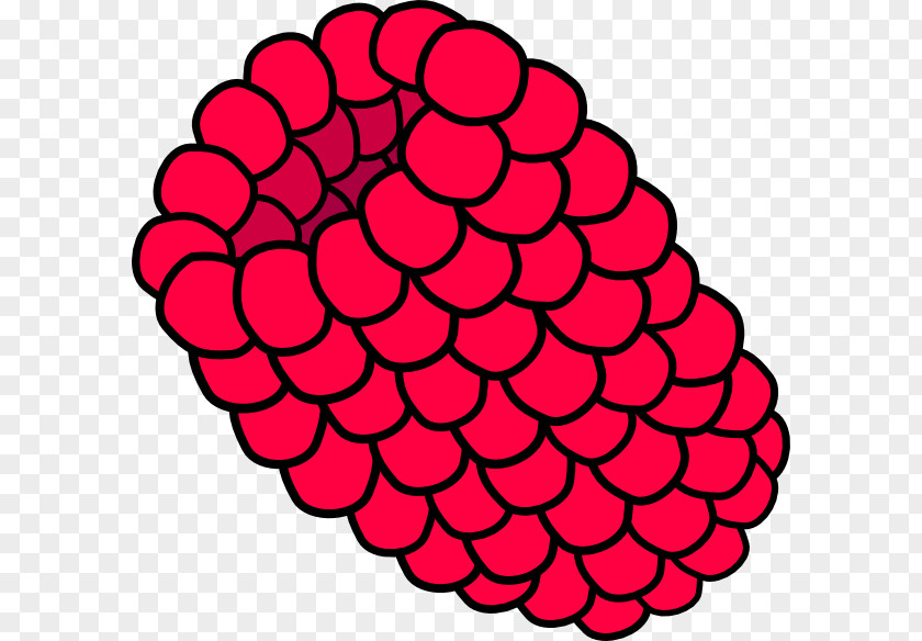 Berries Raspberry Muffin Clip Art PNG