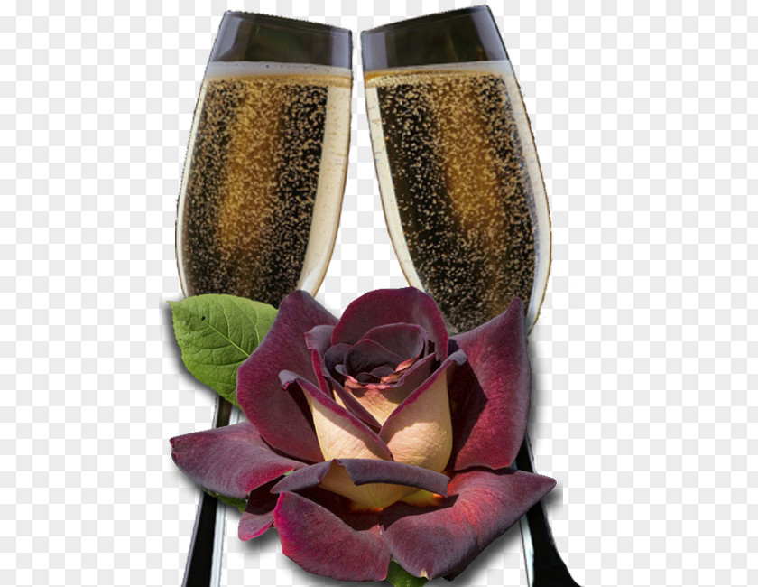 Champagne Hybrid Tea Rose Glass Garden Roses PNG