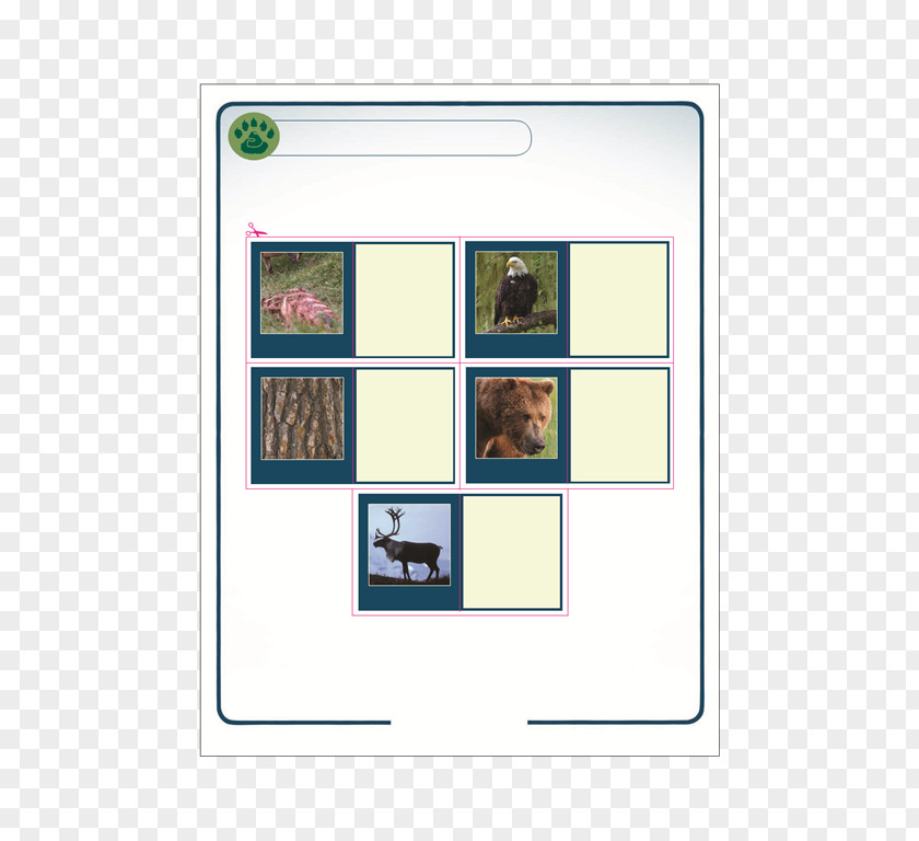 Childhood Memory Picture Frames Square Meter Pattern PNG