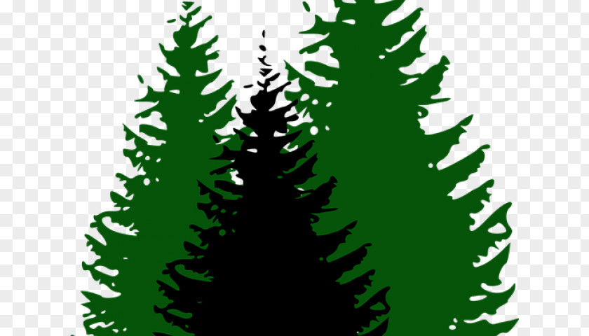 Forest Interior Design Christmas Tree Silhouette PNG