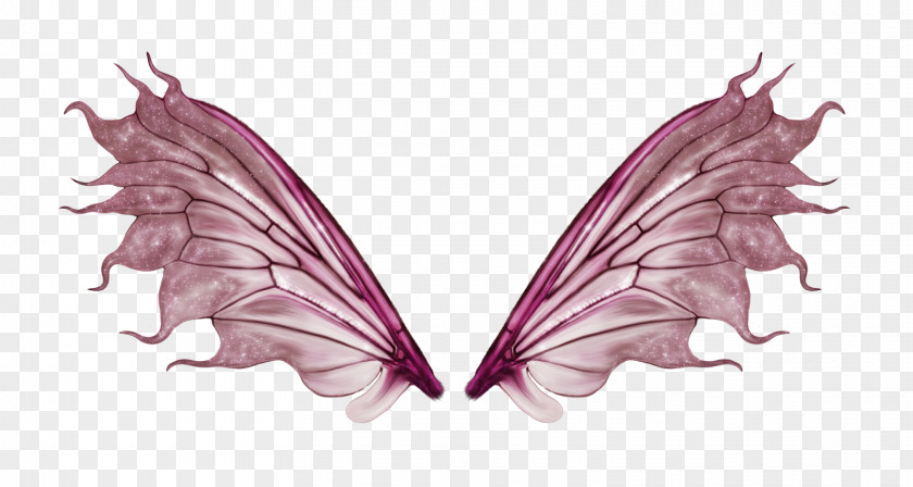 Heart Wing Fairy Color Clothing PNG