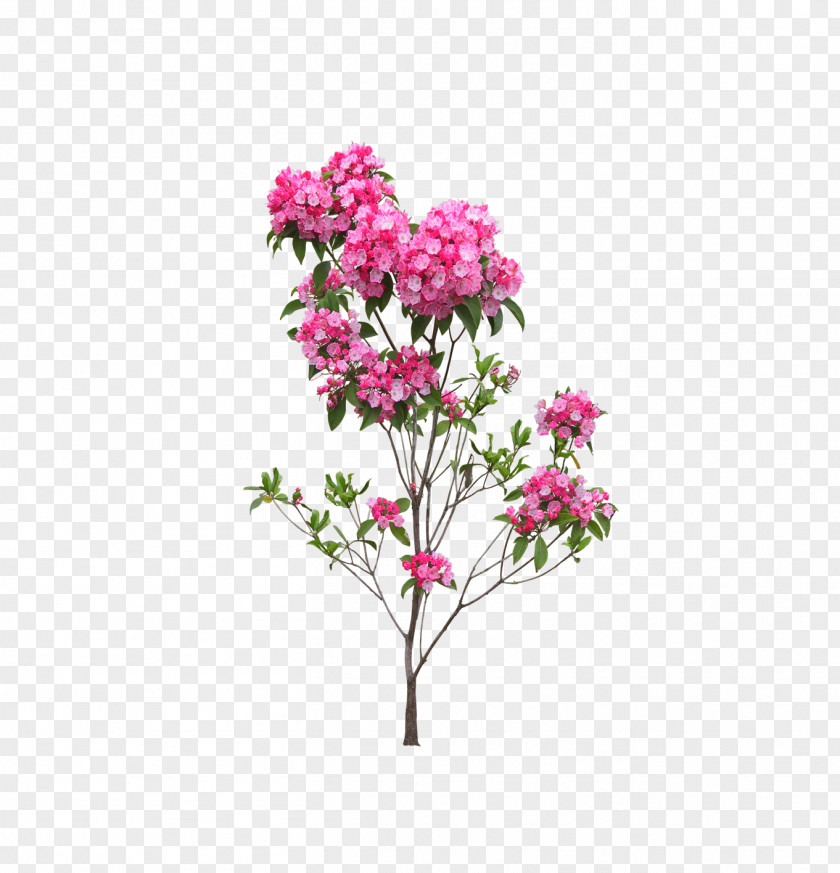 Landscape Flowers And Trees Flower PNG