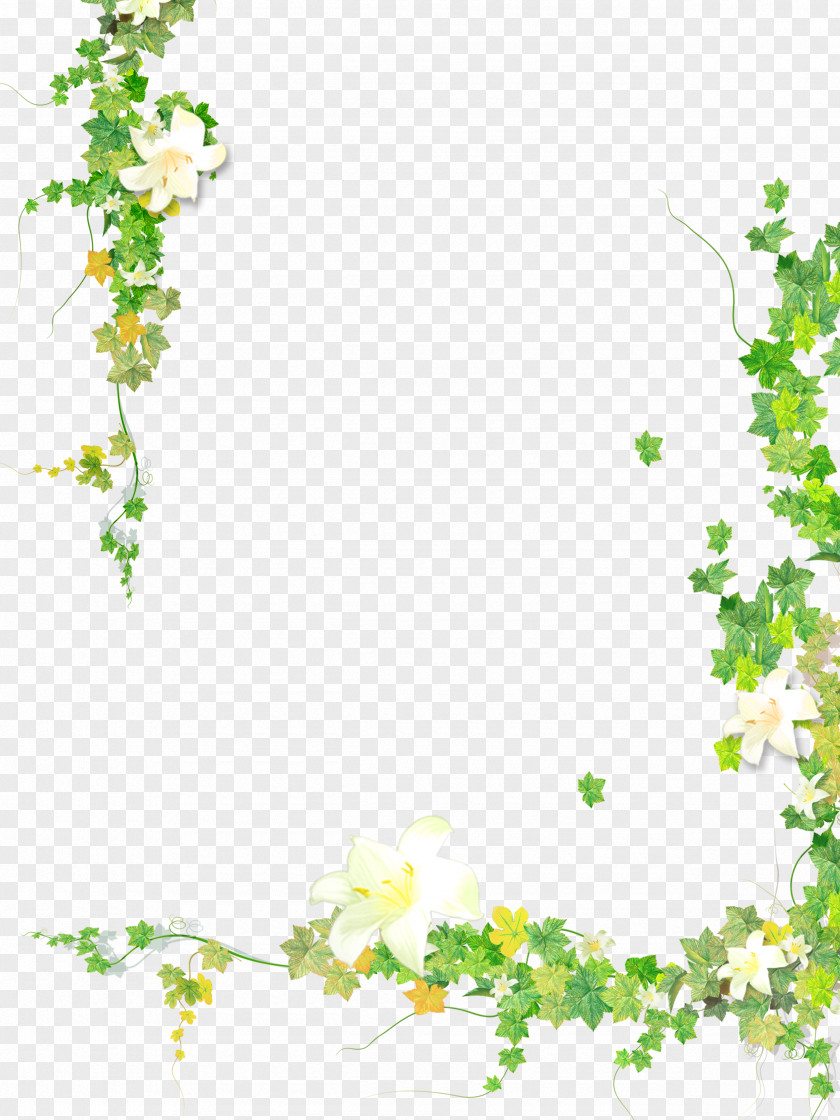 Plants Clip Art Borders And Frames Image Leaf PNG