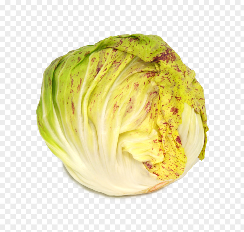 Vegetable Castelfranco Veneto Romaine Lettuce Veganism Radicchio PNG