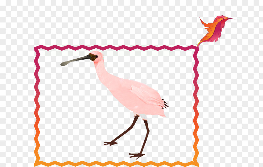 Bird Beak Crane Neck Clip Art PNG