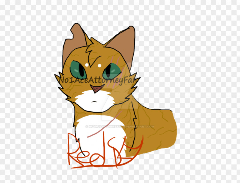 Cat Whiskers Dog Canidae PNG