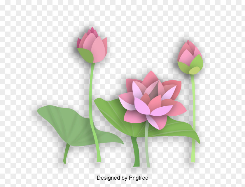 Flower Origami Floral Design Sacred Lotus Garland PNG