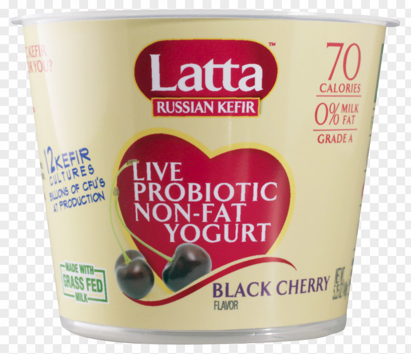 Milk Kefir Russian Cuisine Cream Tibicos PNG