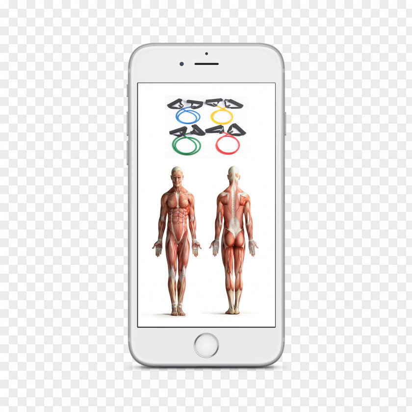 Smartphone Soft-tissue Sarcoma Soft Tissue Cancer PNG