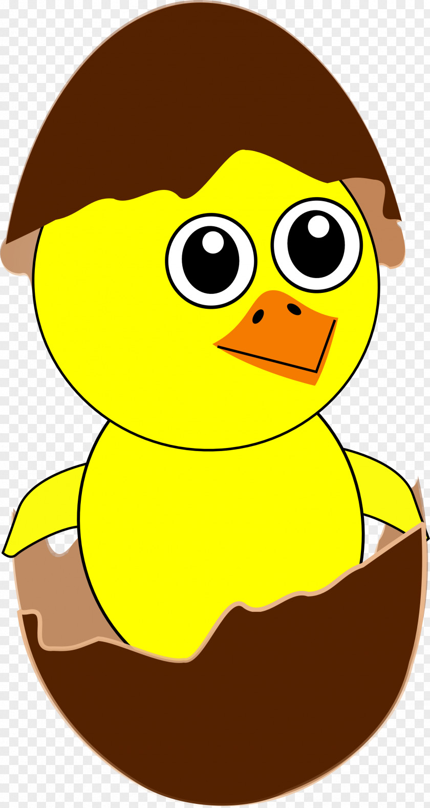 Cartoon Panda Chicken Kifaranga Clip Art PNG