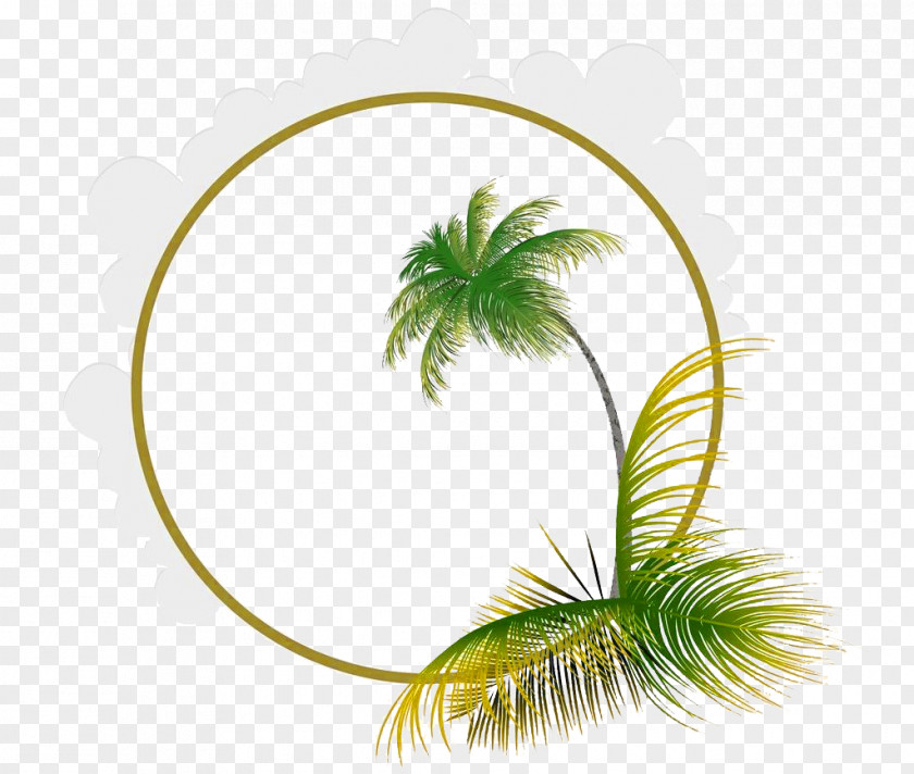 Coconut Leaf Frame Picture Material Euclidean Vector PNG