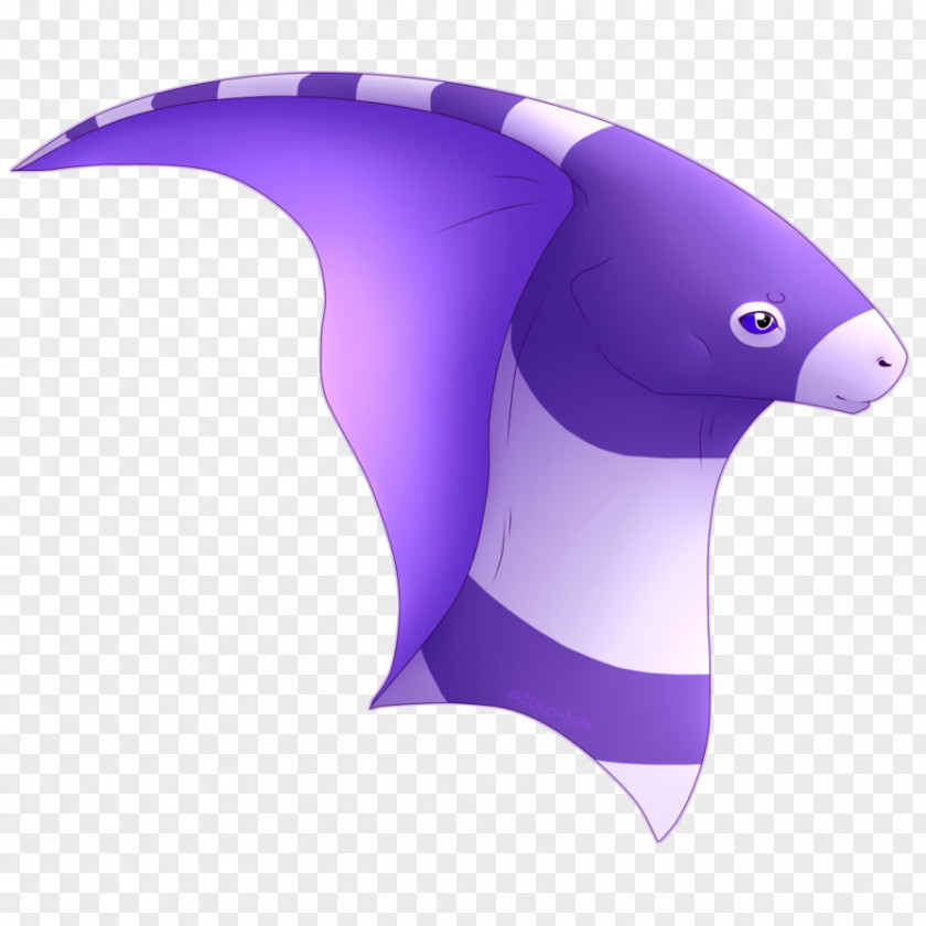 Design Marine Mammal PNG