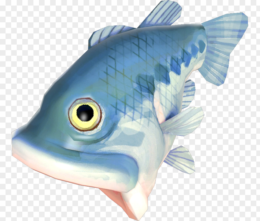 Fish Bony Fishes Flatfish Mummy Pig Plaice PNG