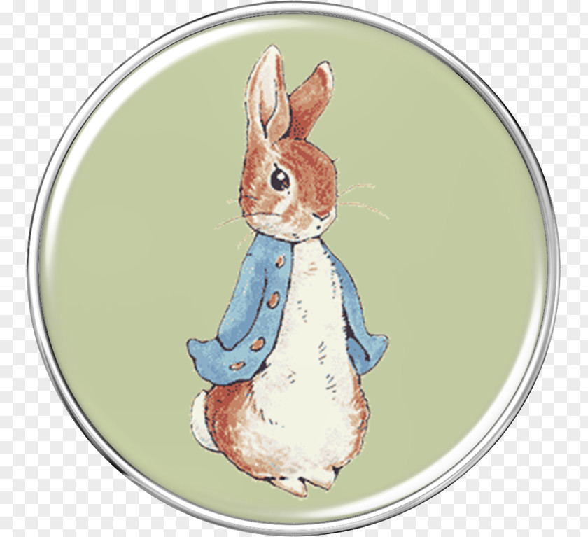 Peter Rabbit The Tale Of Cottontail PNG